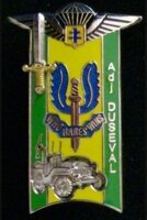 Insigne de la 29e promotion de l'école nationale technique des (…)