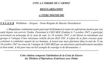 CROIX DE GUERRE D'OPERATIONS EXTERIEURES AVEC PALME